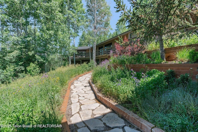750 N Bar Y Rd, Jackson, WY 83001 - view of yard