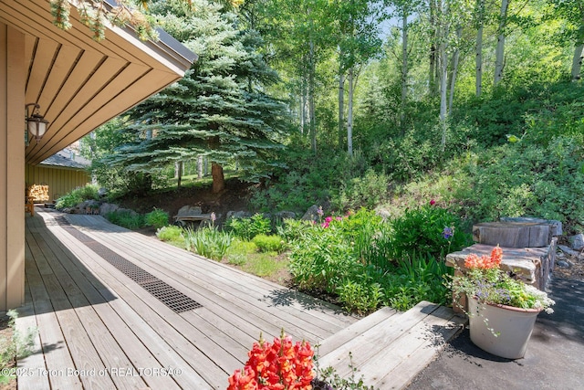 750 N Bar Y Rd, Jackson, WY 83001 - view of deck