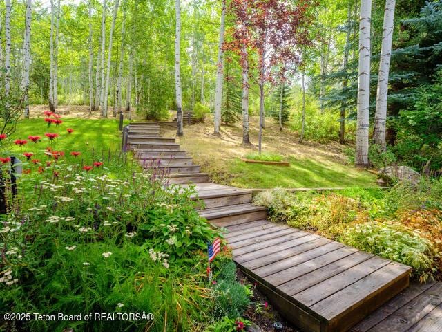 750 N Bar Y Rd, Jackson, WY 83001 - surrounding community featuring stairs and a forest view