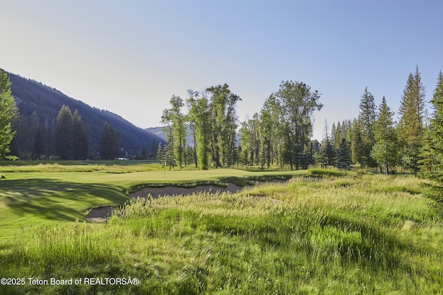 15425 S Wagon Rd, Jackson, WY 83001