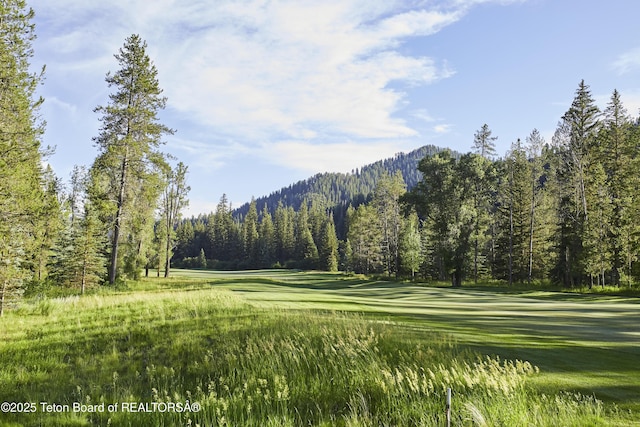 15425 S Wagon Rd, Jackson, WY 83001