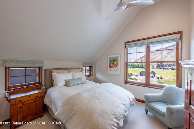 150 N Jean St, Jackson, WY 83001 - photo 23