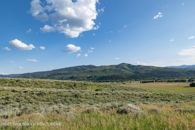 4900 S Little Horsethief Ln, Jackson, WY 83001