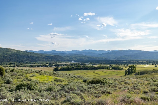 4900 S Little Horsethief Ln, Jackson, WY 83001