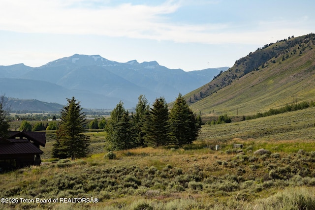 4900 S Little Horsethief Ln, Jackson, WY 83001