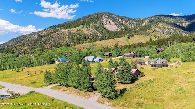 386 Dogwood Dr, Star Valley Ranch, WY 83127 - mountain view featuring a heavily wooded area