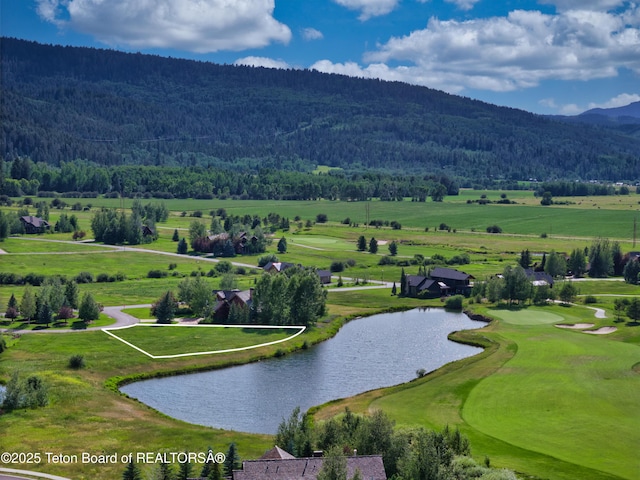 89 Flint Ridge Cir, Victor, ID 83455