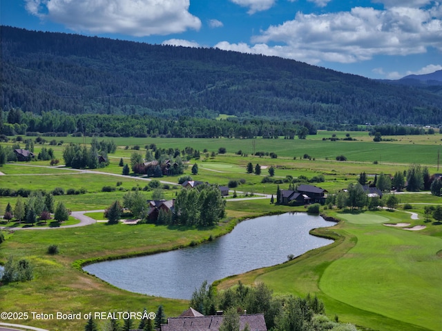 89 Flint Ridge Cir, Victor, ID 83455
