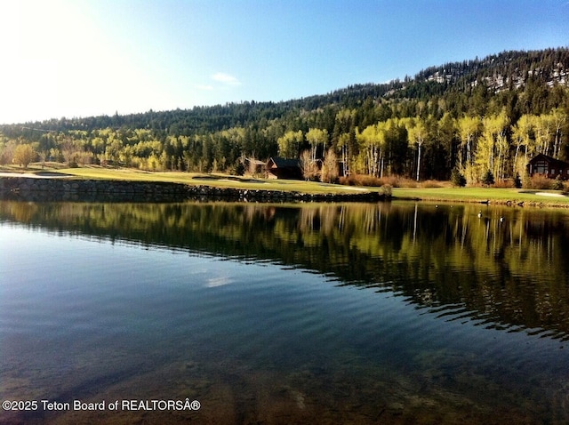 89 Flint Ridge Cir, Victor, ID 83455