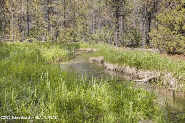 3320 Griffel Ct, Island Park, ID 83429 - water view featuring a forest