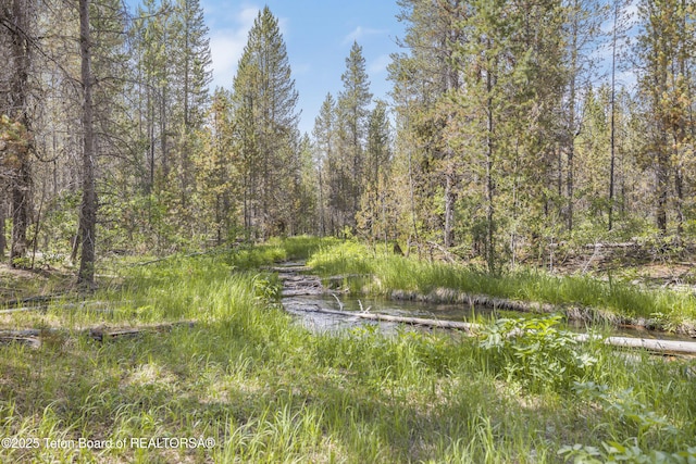 3320 Griffel Ct, Island Park, ID 83429 - water view