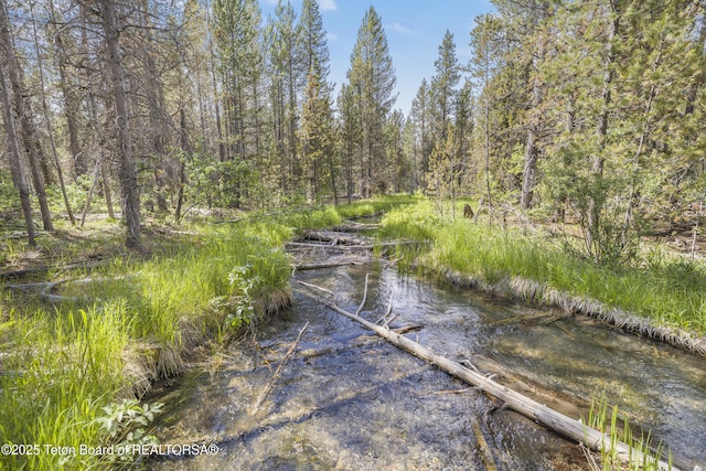 3320 Griffel Ct, Island Park, ID 83429 - view of yard