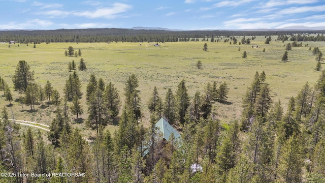3320 Griffel Ct, Island Park, ID 83429 - view of mountain background with rural landscape