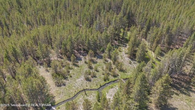 3320 Griffel Ct, Island Park, ID 83429 - aerial view of property's location