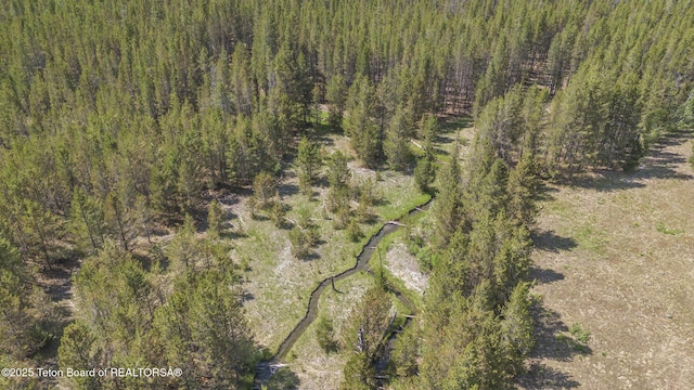 3320 Griffel Ct, Island Park, ID 83429 - view of property location