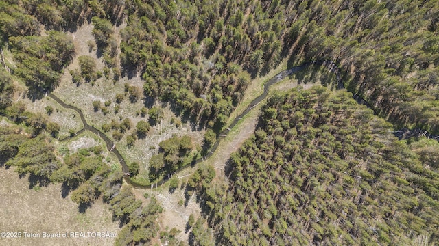3320 Griffel Ct, Island Park, ID 83429 - view of property location