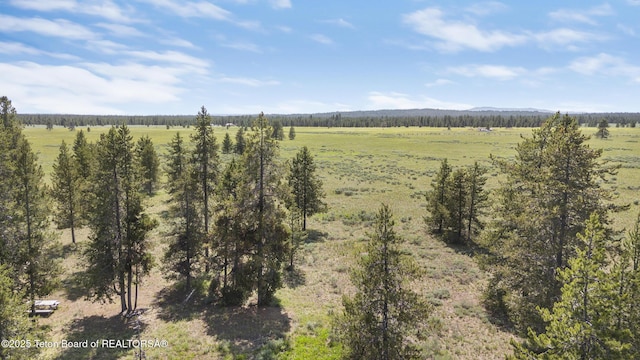 3320 Griffel Ct, Island Park, ID 83429 - view of nature featuring rural landscape