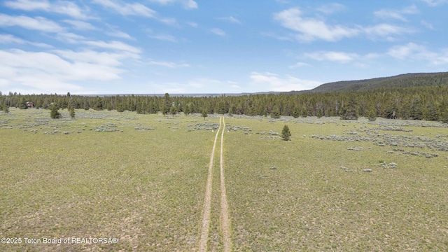 3320 Griffel Ct, Island Park, ID 83429 - view of yard