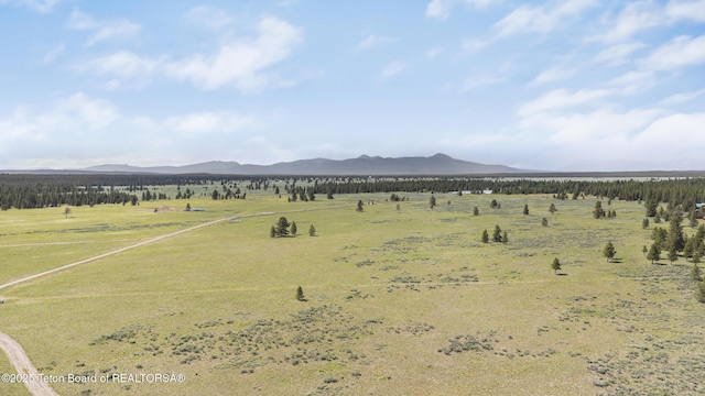 3320 Griffel Ct, Island Park, ID 83429 - view of mountain background with rural landscape