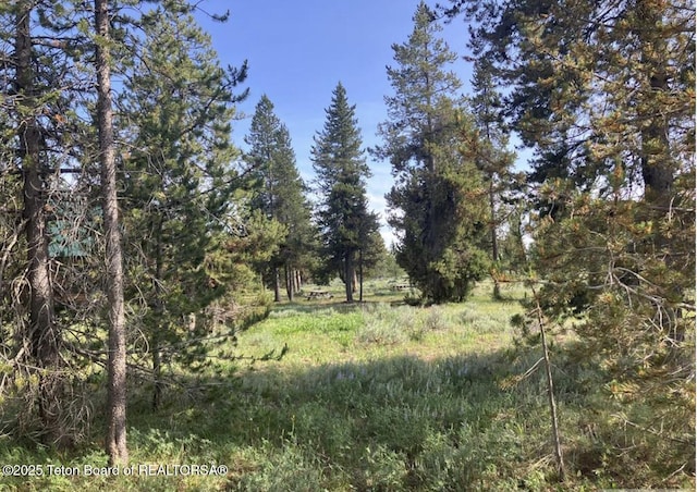 3320 Griffel Ct, Island Park, ID 83429 - view of local wilderness