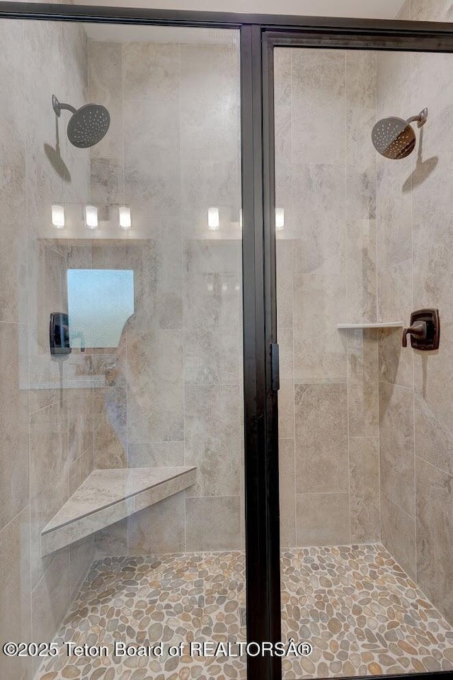 245 Pond Dr, Victor, ID 83455 - bathroom with a stall shower