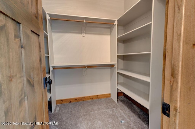 245 Pond Dr, Victor, ID 83455 - spacious closet with carpet flooring