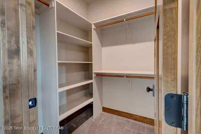 245 Pond Dr, Victor, ID 83455 - walk in closet with carpet floors