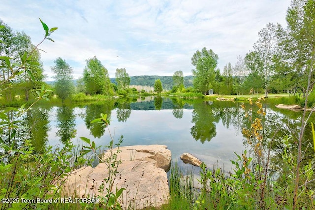 245 Pond Dr, Victor, ID 83455 - water view