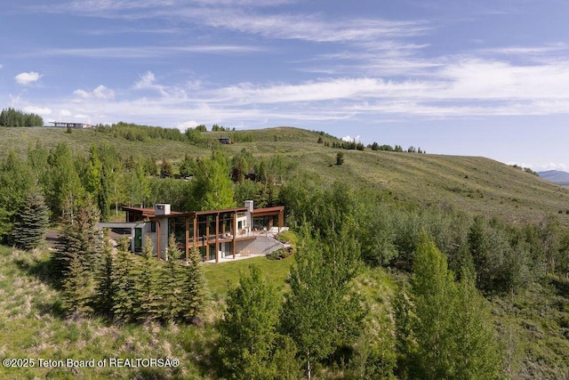 1955 W Bohnetts Rd, Jackson, WY 83001 - view from above of property