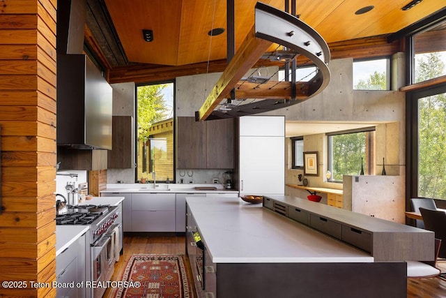 1955 W Bohnetts Rd, Jackson, WY 83001 - kitchen with stainless steel stove, wood finished floors, light countertops, modern cabinets, and a high ceiling