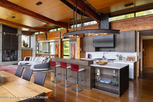 1955 W Bohnetts Rd, Jackson, WY 83001 - kitchen featuring healthy amount of natural light, modern cabinets, light countertops, dark wood finished floors, and a wood ceiling with exposed beams