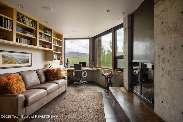 1955 W Bohnetts Rd, Jackson, WY 83001 - office with built in study area and wood finished floors