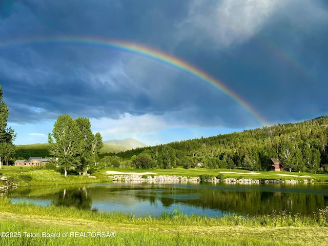 70 Hastings Dr, Victor, ID 83455 - water view with a forest and a mountain backdrop