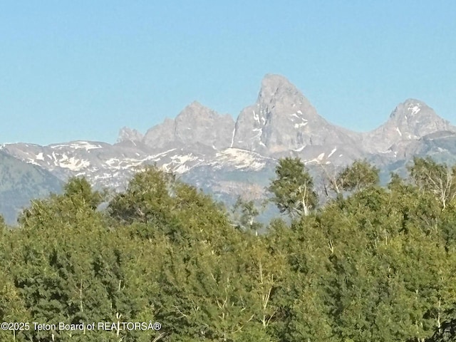 13280 N 3750 W, Felt, ID 83424 - view of mountain background