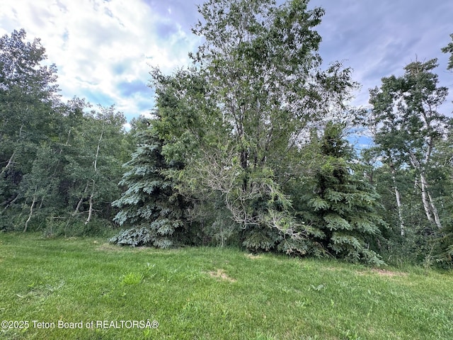 13280 N 3750 W, Felt, ID 83424 - view of yard with a forest view