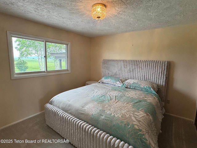 13280 N 3750 W, Felt, ID 83424 - bedroom with carpet flooring and a textured ceiling