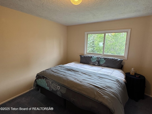 13280 N 3750 W, Felt, ID 83424 - carpeted bedroom featuring baseboards and a textured ceiling