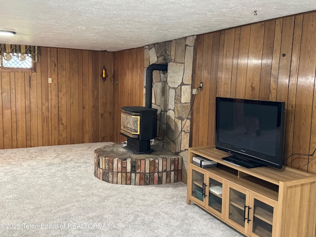 13280 N 3750 W, Felt, ID 83424 - carpeted living area with wood walls, a textured ceiling, and a wood stove