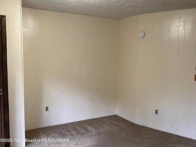 13280 N 3750 W, Felt, ID 83424 - carpeted empty room featuring wooden walls and a textured ceiling