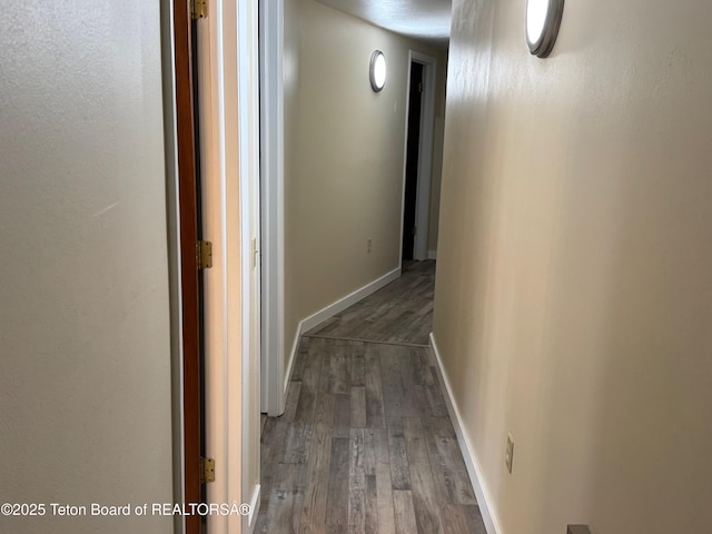 13280 N 3750 W, Felt, ID 83424 - hallway with wood finished floors and baseboards