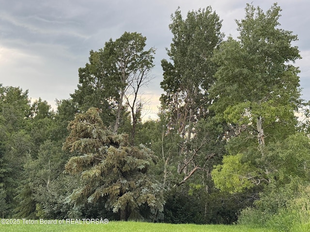 13280 N 3750 W, Felt, ID 83424 - view of woods