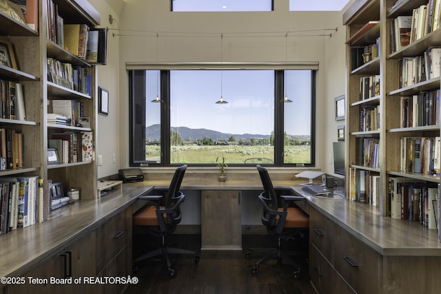 580 Moulton Loop Rd, Jackson, WY 83001 - office space with built in study area and dark wood-type flooring