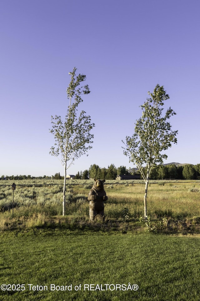 580 Moulton Loop Rd, Jackson, WY 83001 - view of yard featuring a view of rural / pastoral area
