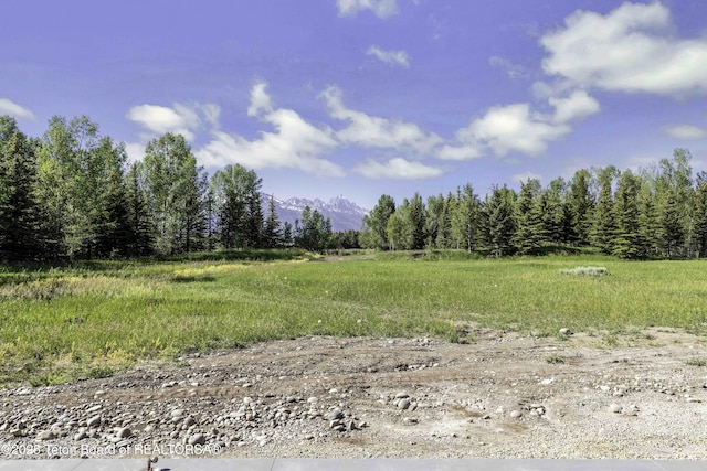175 Huckleberry Dr, Jackson, WY 83001 - view of tree filled area with a view of countryside and a mountain view