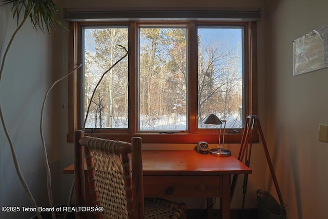 4435 Berry Dr Unit 3611, Wilson, WY 83014 - view of office area
