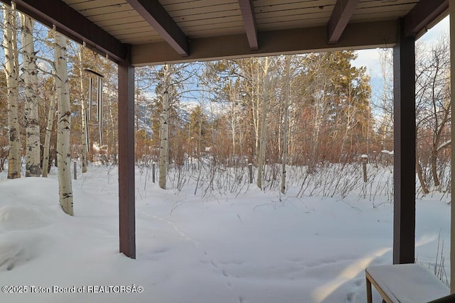 4435 Berry Dr Unit 3611, Wilson, WY 83014 - view of yard layered in snow