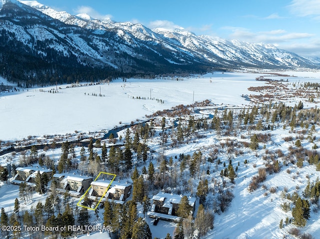 4435 Berry Dr Unit 3611, Wilson, WY 83014 - mountain view
