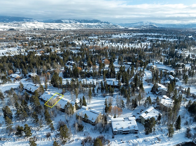 4435 Berry Dr Unit 3611, Wilson, WY 83014 - snowy aerial view featuring a mountain view