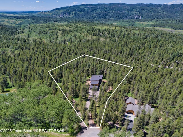 4327 Bridger Rdg, Ashton, ID 83420 - aerial overview of property's location featuring a heavily wooded area and property boundaries highlighted
