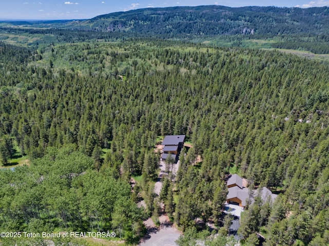 4327 Bridger Rdg, Ashton, ID 83420 - view of property location featuring a forest and a mountain backdrop
